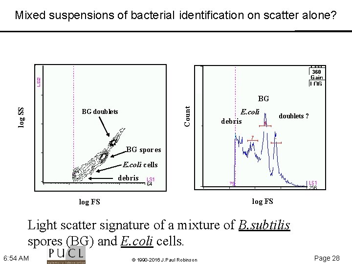 Mixed suspensions of bacteria. I identification on scatter alone? Count log SS BG BG