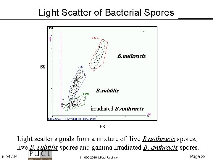 Light Scatter of Bacterial Spores B. anthracis SS B. subtilis irradiated B. anthracis FS