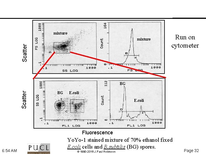 mixture Scatter mixture Run on cytometer Scatter BG BG E. coli Fluorescence 6: 54