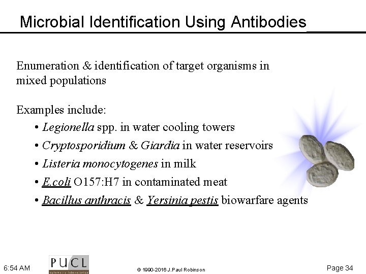 Microbial Identification Using Antibodies Enumeration & identification of target organisms in mixed populations Examples