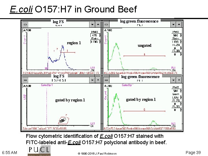 E. coli O 157: H 7 in Ground Beef log green fluorescence log FS