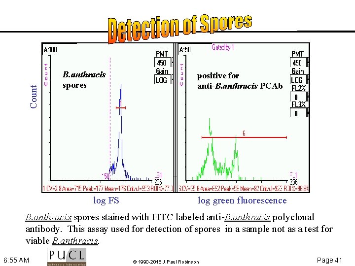 Count B. anthracis spores log FS positive for anti-B. anthracis PCAb log green fluorescence