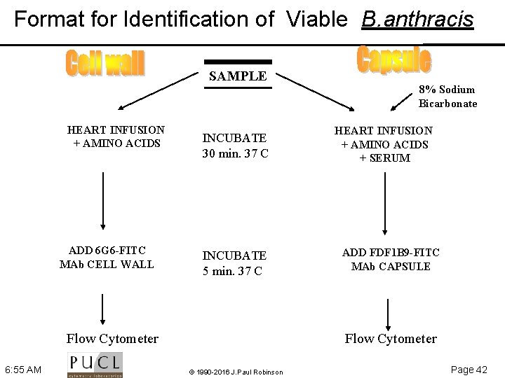 Format for Identification of Viable B. anthracis SAMPLE HEART INFUSION + AMINO ACIDS ADD