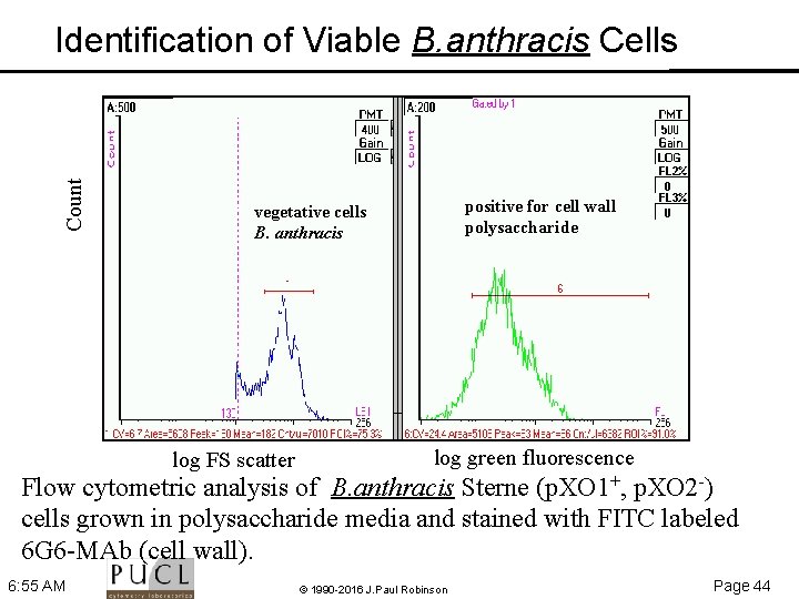 Count Identification of Viable B. anthracis Cells positive for cell wall polysaccharide vegetative cells