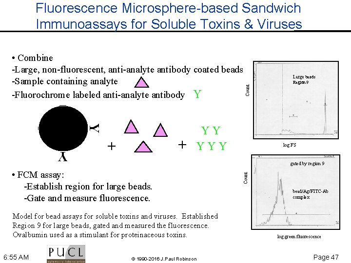 Fluorescence Microsphere-based Sandwich Immunoassays for Soluble Toxins & Viruses Y + + YY YYY