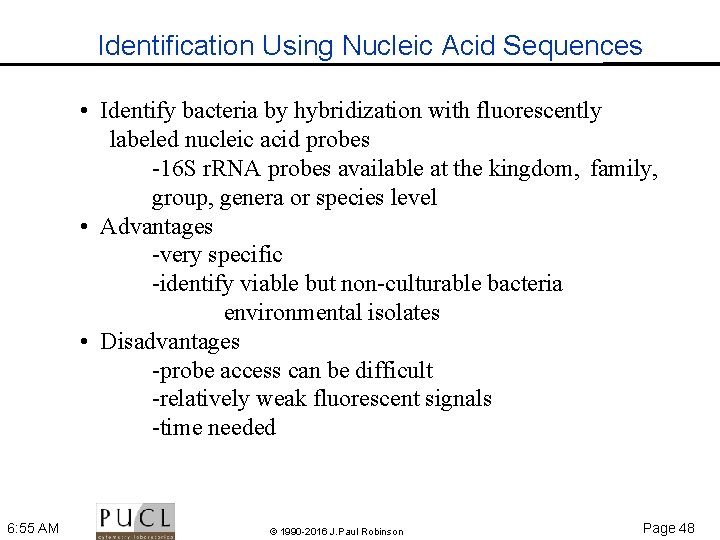 Identification Using Nucleic Acid Sequences • Identify bacteria by hybridization with fluorescently labeled nucleic