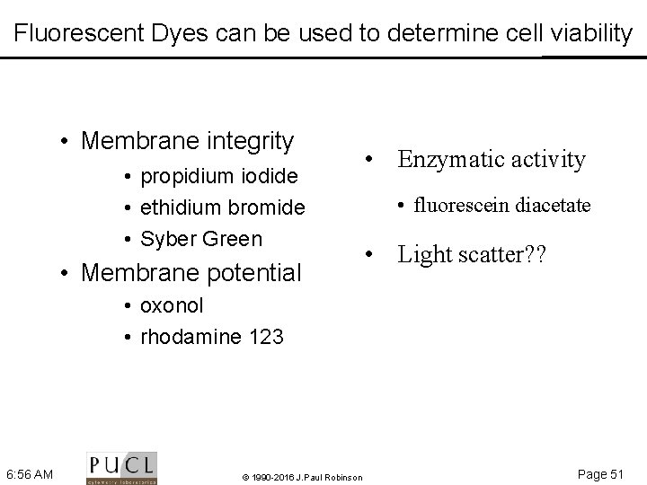Fluorescent Dyes can be used to determine cell viability • Membrane integrity • propidium