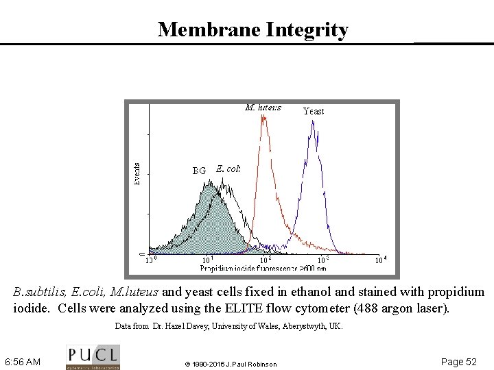 Membrane Integrity B. subtilis, E. coli, M. luteus and yeast cells fixed in ethanol