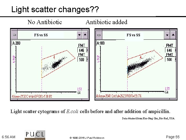 Light scatter changes? ? No Antibiotic added FS vs SS Light scatter cytograms of