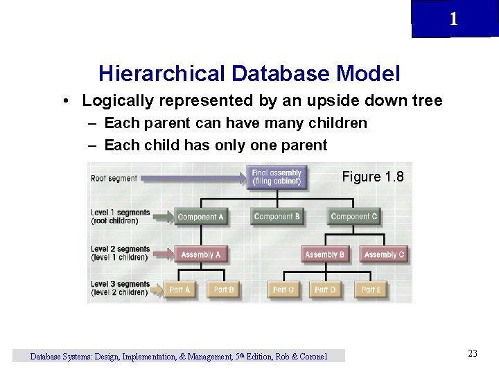 1 Hierarchical Database Model • Logically represented by an upside down tree – Each
