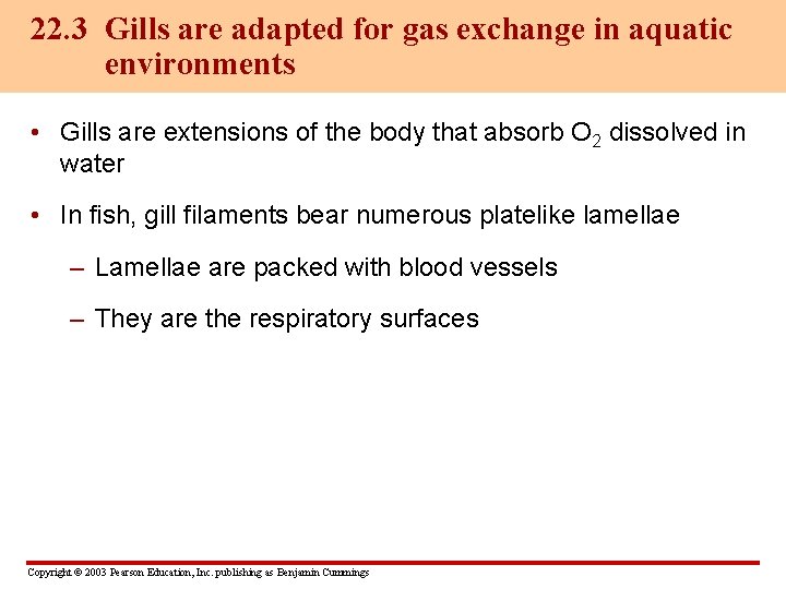 22. 3 Gills are adapted for gas exchange in aquatic environments • Gills are