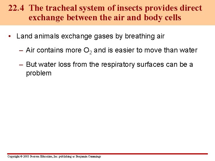 22. 4 The tracheal system of insects provides direct exchange between the air and