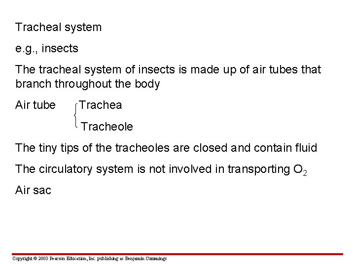 Tracheal system e. g. , insects The tracheal system of insects is made up