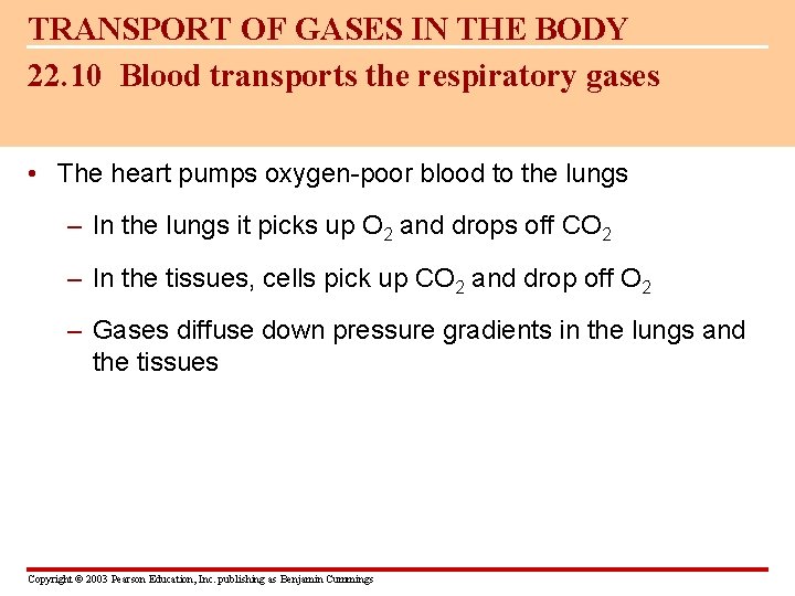 TRANSPORT OF GASES IN THE BODY 22. 10 Blood transports the respiratory gases •