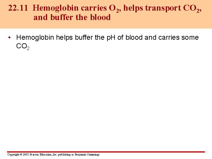 22. 11 Hemoglobin carries O 2, helps transport CO 2, and buffer the blood