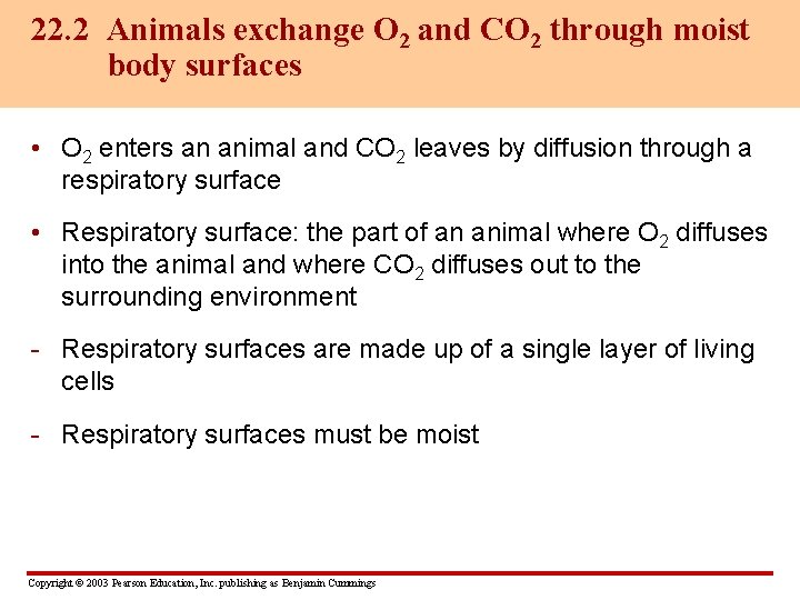22. 2 Animals exchange O 2 and CO 2 through moist body surfaces •