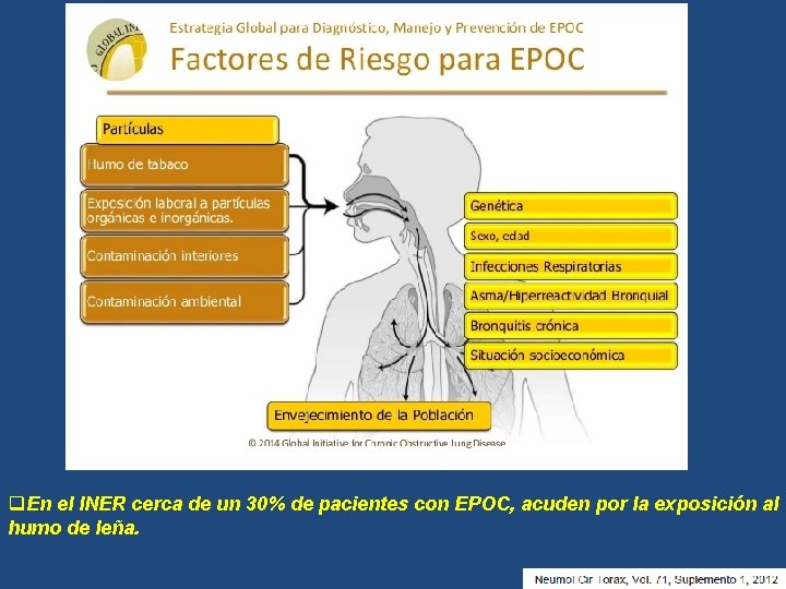 q. En el INER cerca de un 30% de pacientes con EPOC, acuden por