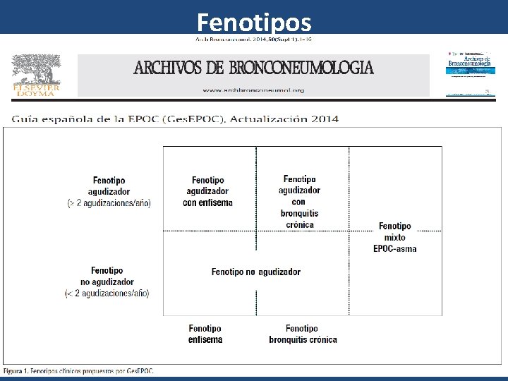 Fenotipos 