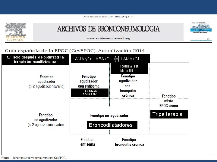 CI solo después de optimizar la terapia broncodilatadora LAMA y/o LABA+CI (-) LAMA+CI Roflumilast