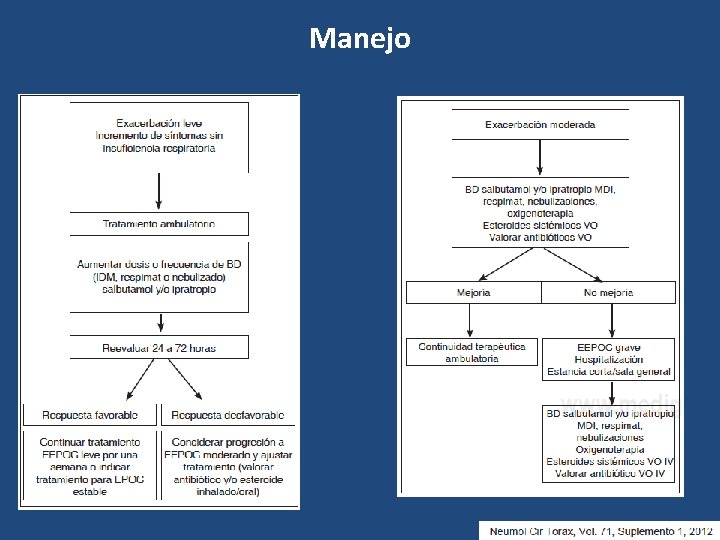 Manejo 