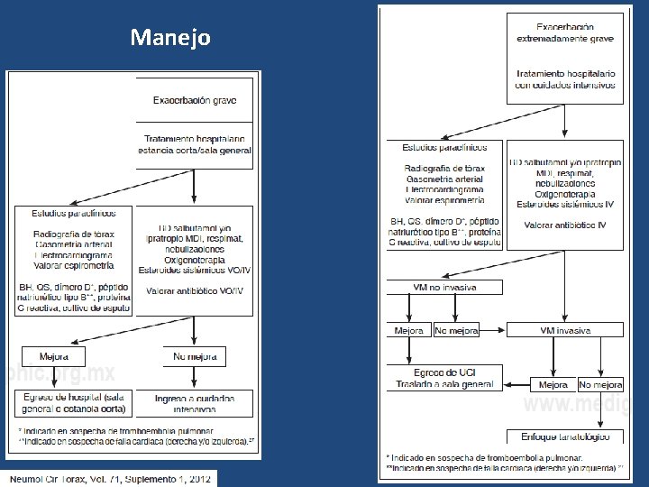 Manejo 