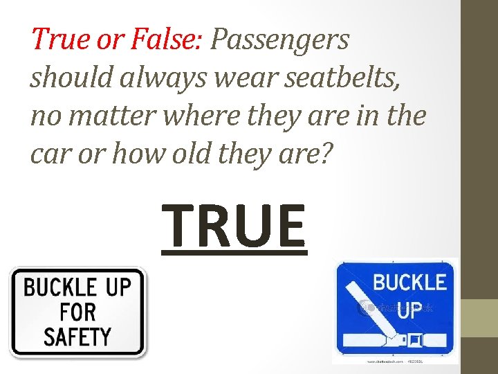 True or False: Passengers should always wear seatbelts, no matter where they are in