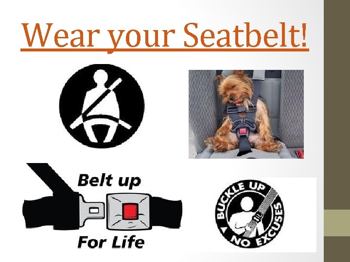 Wear your Seatbelt! 