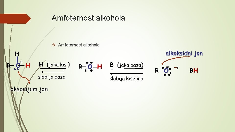 Amfoternost alkohola H + R O H + 