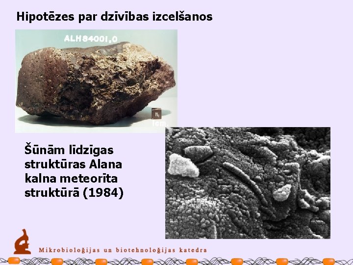 Hipotēzes par dzīvības izcelšanos Šūnām līdzīgas struktūras Alana kalna meteorīta struktūrā (1984) 