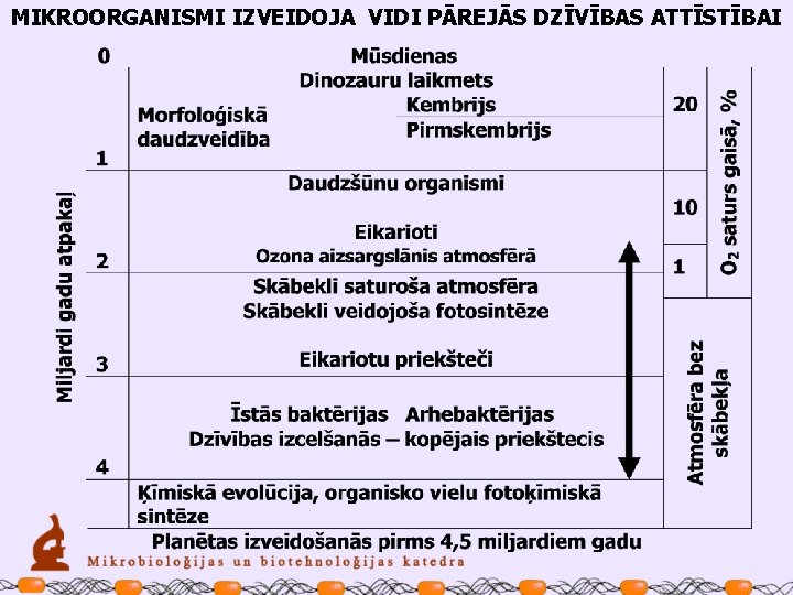 MIKROORGANISMI IZVEIDOJA VIDI PĀREJĀS DZĪVĪBAS ATTĪSTĪBAI 