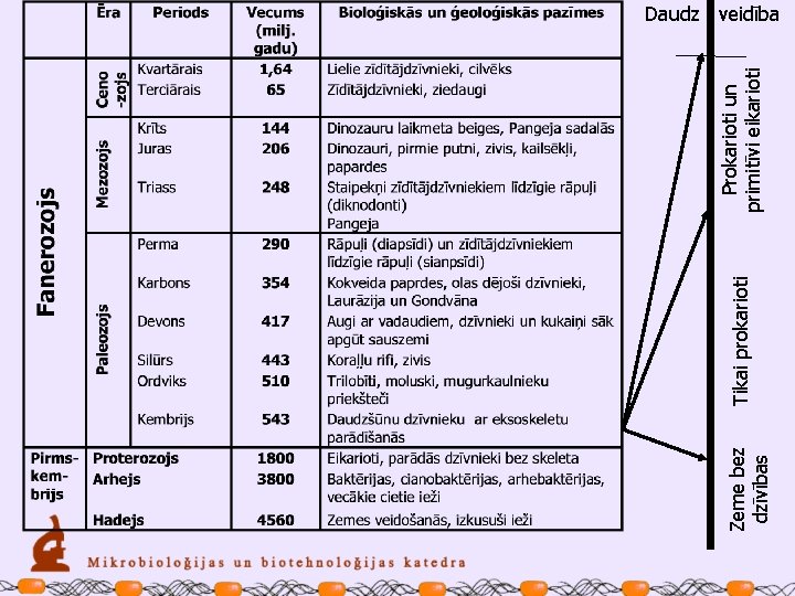 Zeme bez dzīvības Tikai prokarioti Prokarioti un primitīvi eikarioti Daudz veidība 