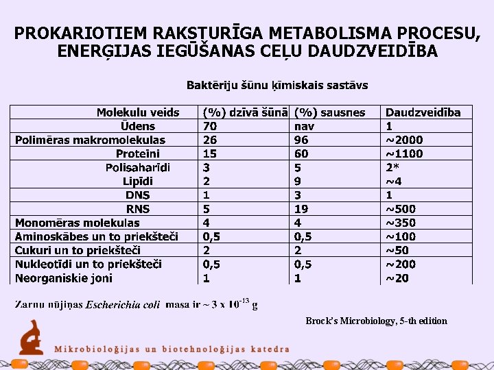 PROKARIOTIEM RAKSTURĪGA METABOLISMA PROCESU, ENERĢIJAS IEGŪŠANAS CEĻU DAUDZVEIDĪBA Brock’s Microbiology, 5 -th edition 