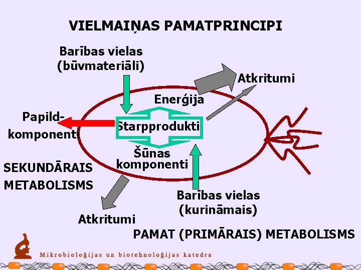 VIELMAIŅAS PAMATPRINCIPI Barības vielas (būvmateriāli) Atkritumi Enerģija Papildkomponenti SEKUNDĀRAIS METABOLISMS Starpprodukti Šūnas komponenti Barības