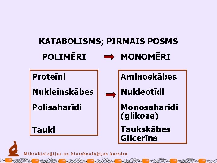 KATABOLISMS; PIRMAIS POSMS POLIMĒRI MONOMĒRI Proteīni Aminoskābes Nukleīnskābes Nukleotīdi Polisaharīdi Monosaharīdi (glikoze) Tauki Taukskābes