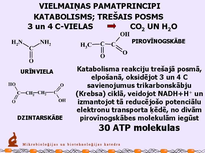 VIELMAIŅAS PAMATPRINCIPI KATABOLISMS; TREŠAIS POSMS 3 un 4 C-VIELAS CO 2 UN H 2