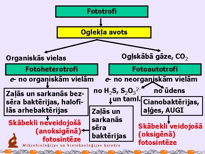 Fototrofi Oglekļa avots Ogļskābā gāze, CO 2 Organiskās vielas Fotoheterotrofi e- no organiskām vielām