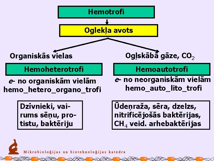 Hemotrofi Oglekļa avots Organiskās vielas Hemoheterotrofi e- no organiskām vielām hemo_hetero_organo_trofi Dzīvnieki, vairums sēņu,