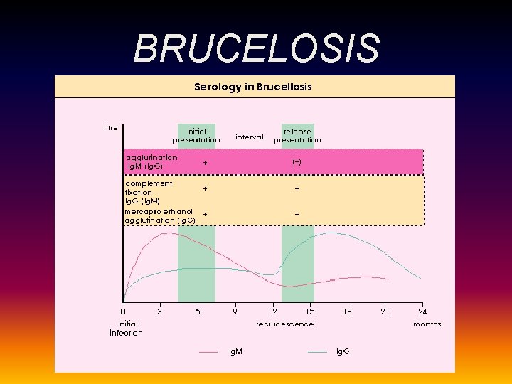 BRUCELOSIS BRUCELOSIS
