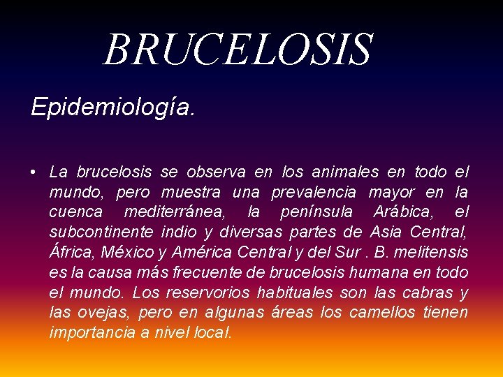 BRUCELOSIS Epidemiología. • La brucelosis se observa en los animales en todo el mundo, BRUCELOSIS Epidemiología. • La brucelosis se observa en los animales en todo el mundo,