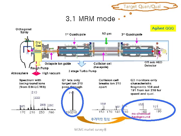 Target Quan/Qual 3. 1 MRM mode Agilent QQQ 추가적인 정성 MSMS market survey용 