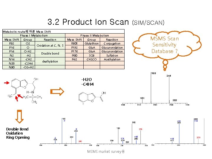 3. 2 Product Ion Scan Metabolic route에 따른 Mass Shift Phase I Metabolism Mass