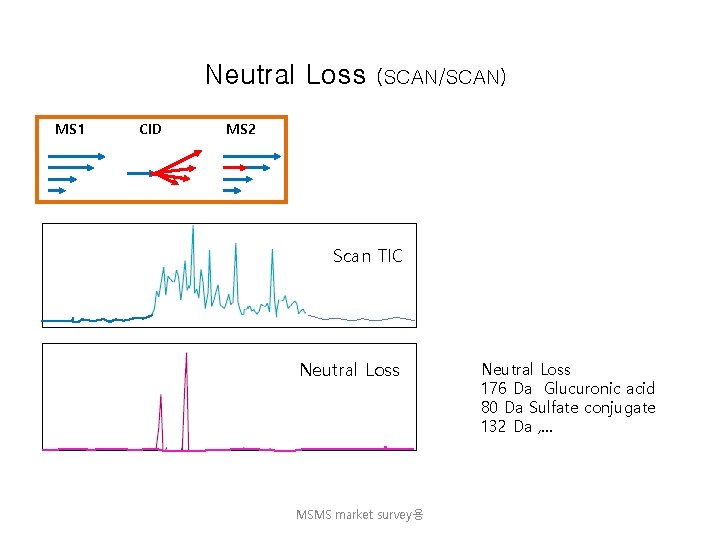 Neutral Loss MS 1 CID (SCAN/SCAN) MS 2 Scan TIC Neutral Loss MSMS market