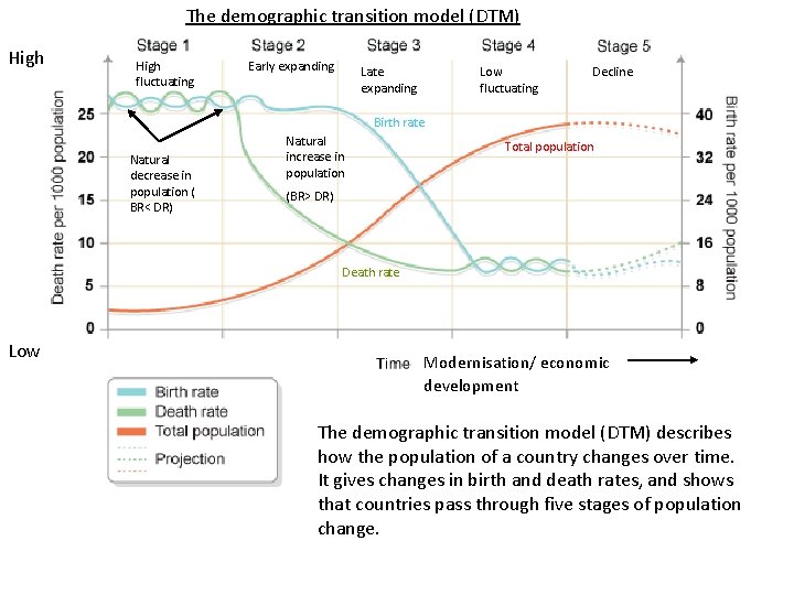 The demographic transition model (DTM) High fluctuating Early expanding Late expanding Low fluctuating Decline