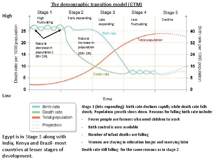 The demographic transition model (DTM) High fluctuating Early expanding Late expanding Low fluctuating Decline