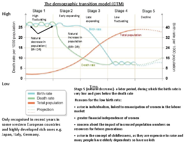 The demographic transition model (DTM) High fluctuating Early expanding Late expanding Low fluctuating Decline