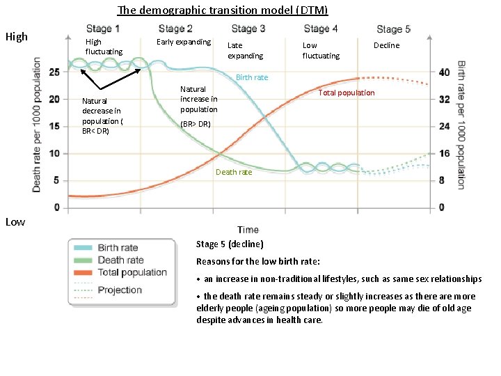 The demographic transition model (DTM) High fluctuating Early expanding Late expanding Low fluctuating Decline