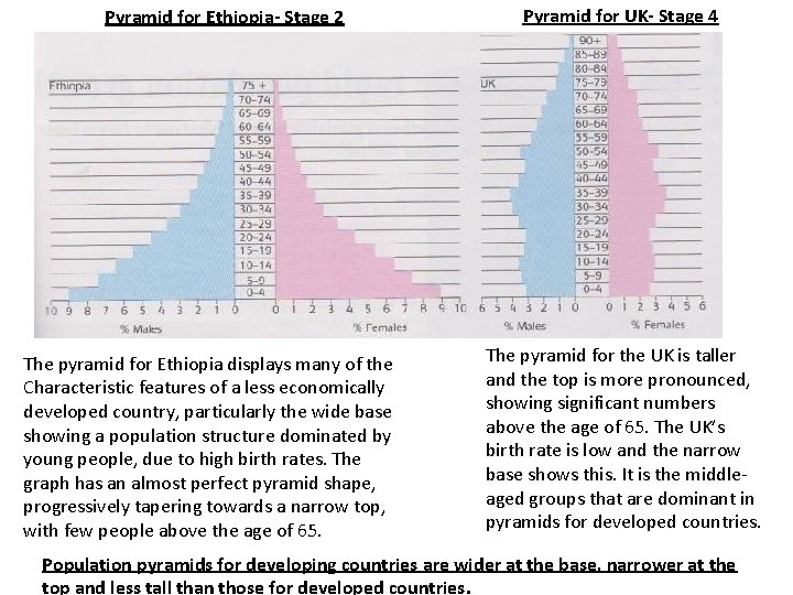 Pyramid for Ethiopia- Stage 2 The pyramid for Ethiopia displays many of the Characteristic
