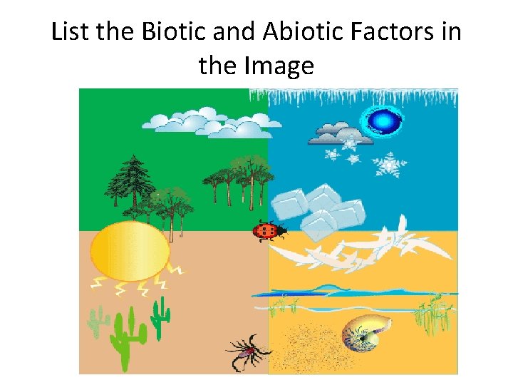 List the Biotic and Abiotic Factors in the Image 