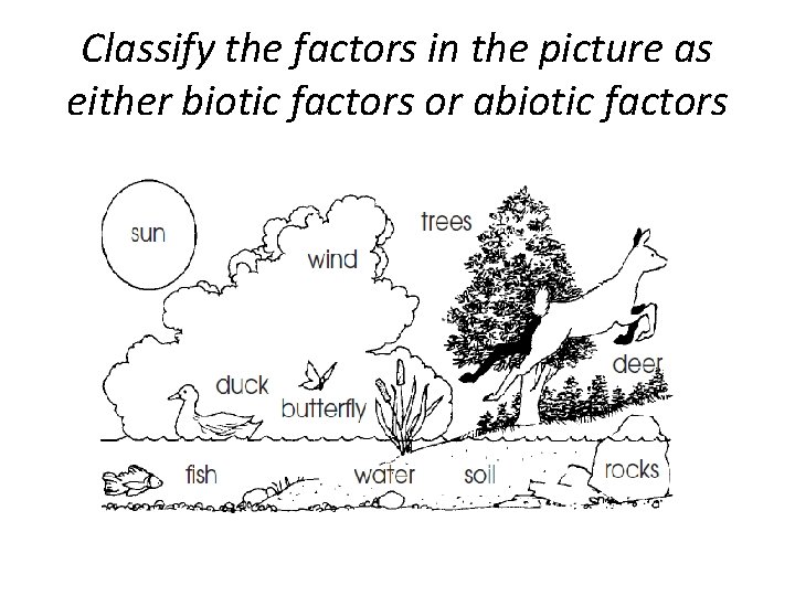 Classify the factors in the picture as either biotic factors or abiotic factors Classify the factors in the picture as either biotic factors or abiotic factors