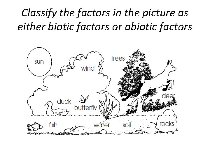 Classify the factors in the picture as either biotic factors or abiotic factors 